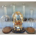 A collection of seven antique glass domes, one containing a floral and gilt metal work diorama