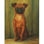 Late 19th century continental school, full length seated study of a Bruxelles Griffon dog, oil on