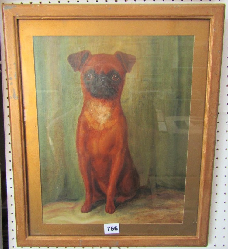 Late 19th century continental school, full length seated study of a Bruxelles Griffon dog, oil on - Image 2 of 2
