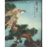 20th century oriental school - Study of an eagle amongst pine branches and study of an elderly