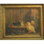 19th century British school - Ducklings and chicks, oil on board, unsigned, 21 x 28cm, framed (