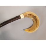 Primitive crook walking stick with horn handle