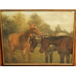 F Clifton (19th century school) - Study of three horses in a landscape setting, oil on canvas laid