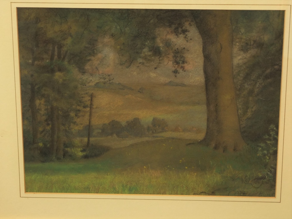 Early 20th century school, study of a woman seated in a landscape setting, oil on canvas, unsigned - Image 4 of 4