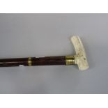 Malacca shafted Sunday stick with ivory handle