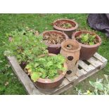 Five matt glazed clay planters of circular waisted form with flared rims, 42cm tapering diameter,