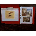 An album containing a quantity of reproduction French erotic postcards, a second album containing