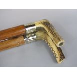 Malacca shafted horn handle walking stick with white metal collar, together with a further similar