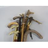 A collection of eight various walking sticks to include three long shafted sticks with horn