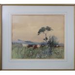 J MacLaren (19th century British) - Cattle grazing in a meadow, watercolour, signed, 24 x 29cm