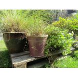 One lot of contemporary matt and glazed planters of varying size and design, all planted and