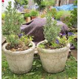 A pair of weathered contemporary cast composition stone planters of circular waisted form with