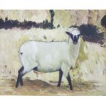 C Turpin, 20th century, British - Study of a sheep beside hay bales, oil on board, signed with