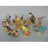 A collection of nine Royal Worcester models of birds including kingfisher, pied woodpeckers,