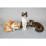 Three Winstanley model cats, comprising a seated tabby and white cat, a crouching ginger and white