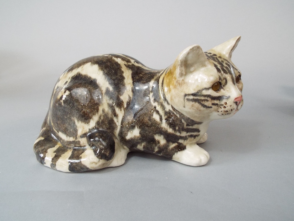 A collection of four Winstanley cats and kittens, three with tabby markings and one with - Image 3 of 3