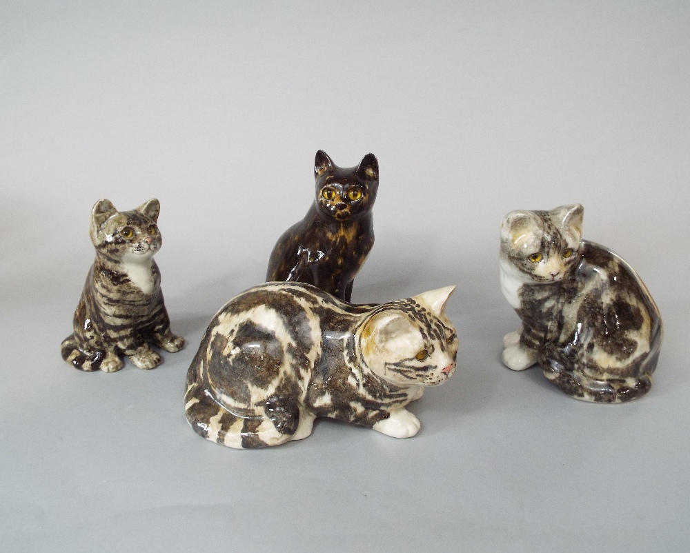 A collection of four Winstanley cats and kittens, three with tabby markings and one with