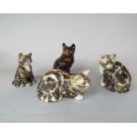 A collection of four Winstanley cats and kittens, three with tabby markings and one with