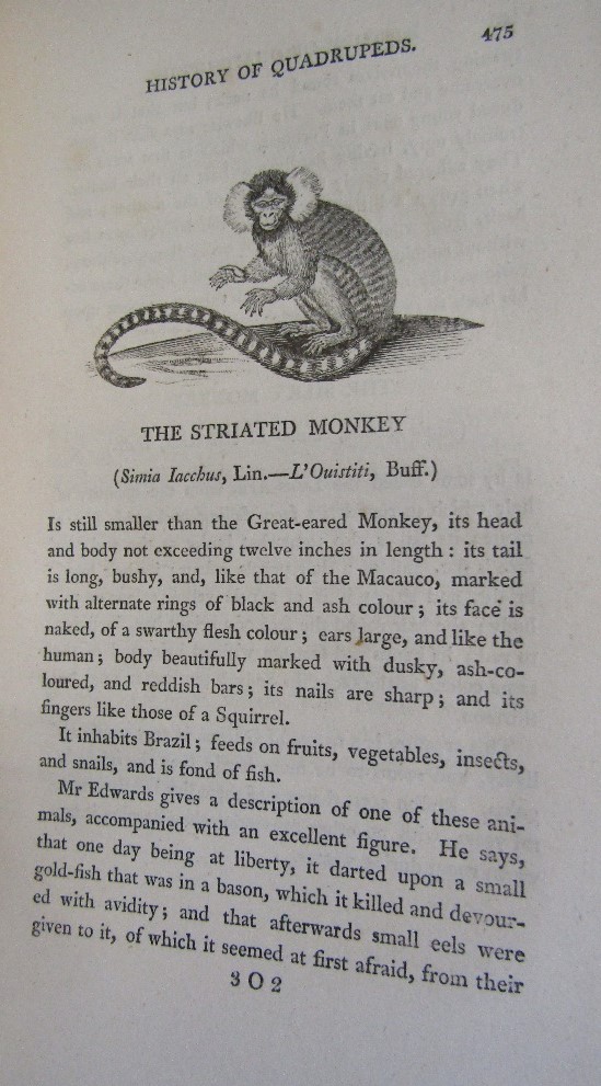 BESWICK Thomas - A General History of Quadrupeds - Fifth Edition printed by Edwards Walker 1807, 525 - Image 6 of 6