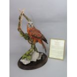 A Country Artists limited edition model of a red kite - Forever Wild, limited edition 519/850,