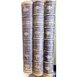 The National Shakespeare illustrated by Sir J Noel Paton, in three volumes with green leather