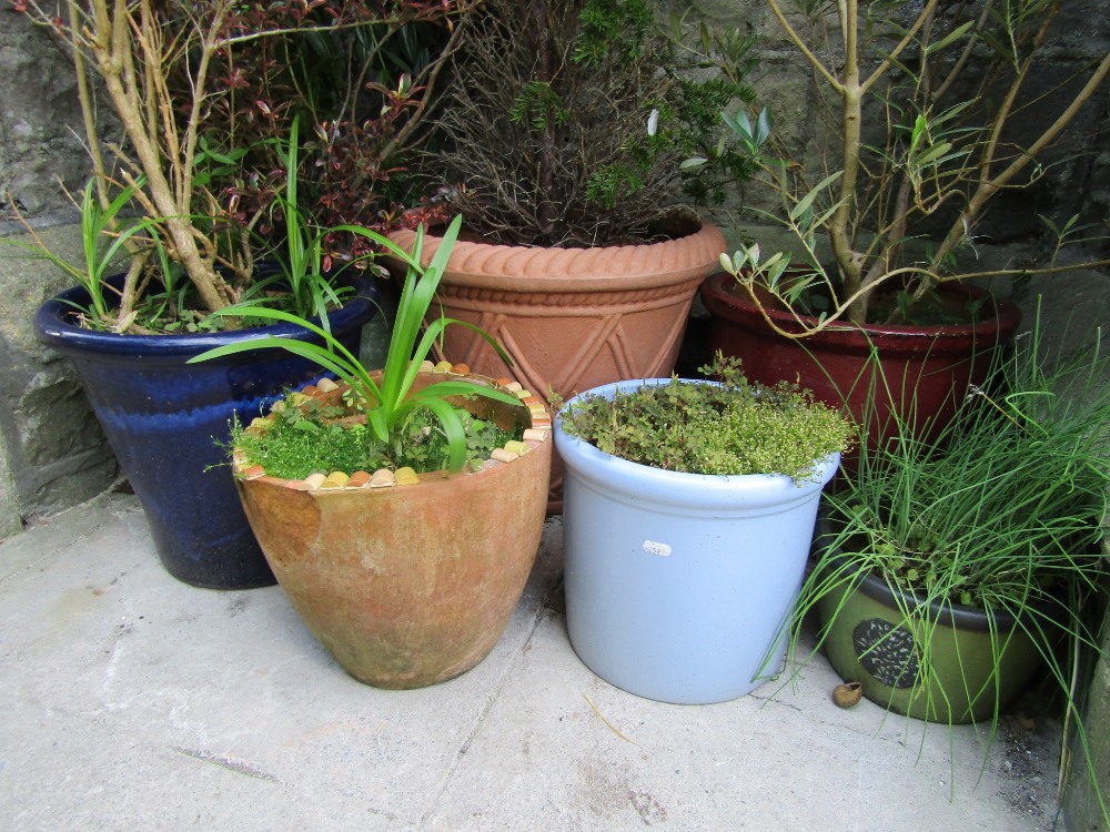 Seven contemporary planters of varying size and design to include two glazed examples (all planted) - Image 2 of 2