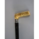 Malacca shafted horn handle walking stick with white metal collar together with Malacca shafted