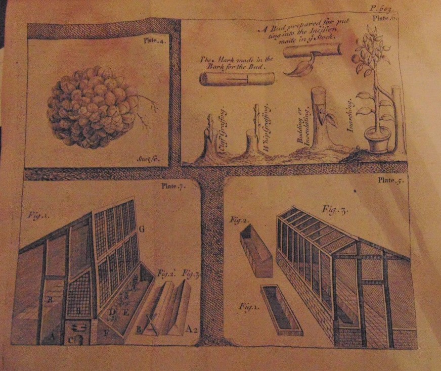 BRADLEY Richard - New Improvements of Planting and Gardening both Philofophical and Practical, 7th