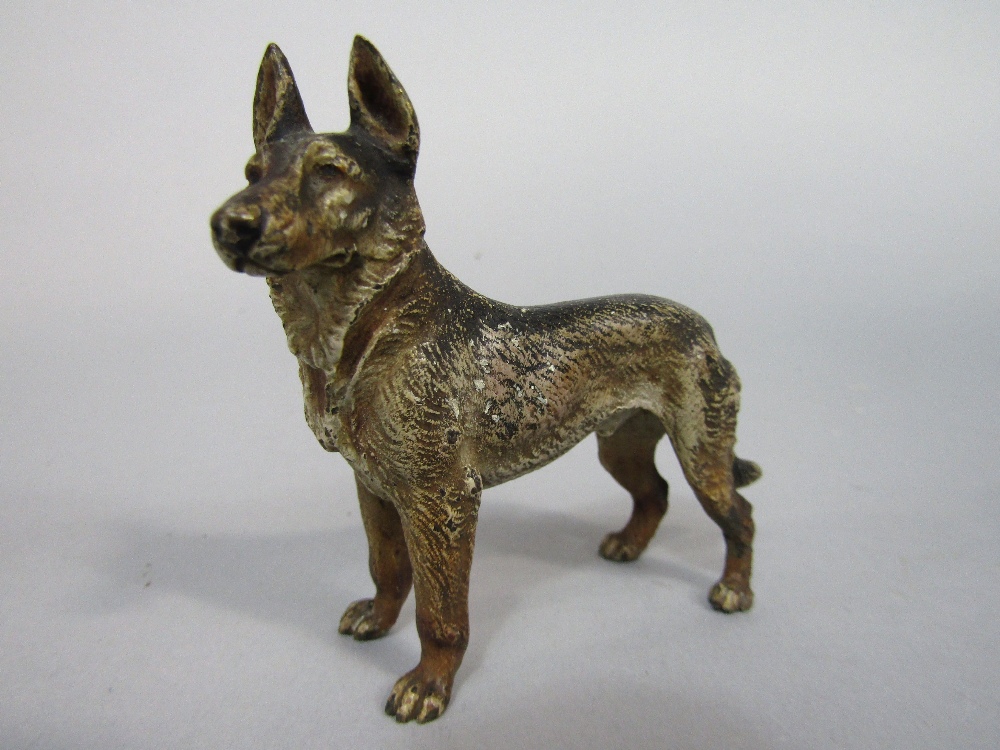 Austrian type cold painted bronze study of a standing Alsatian, 7.5cm high, together with a - Image 2 of 2