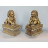 Pair of heavy cold cast resin studies of gilt dogs of fo, 21cm high