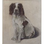 K R Shackleton (20th century) study of a springer spaniel, pastel, signed, 28 x 24 cm together