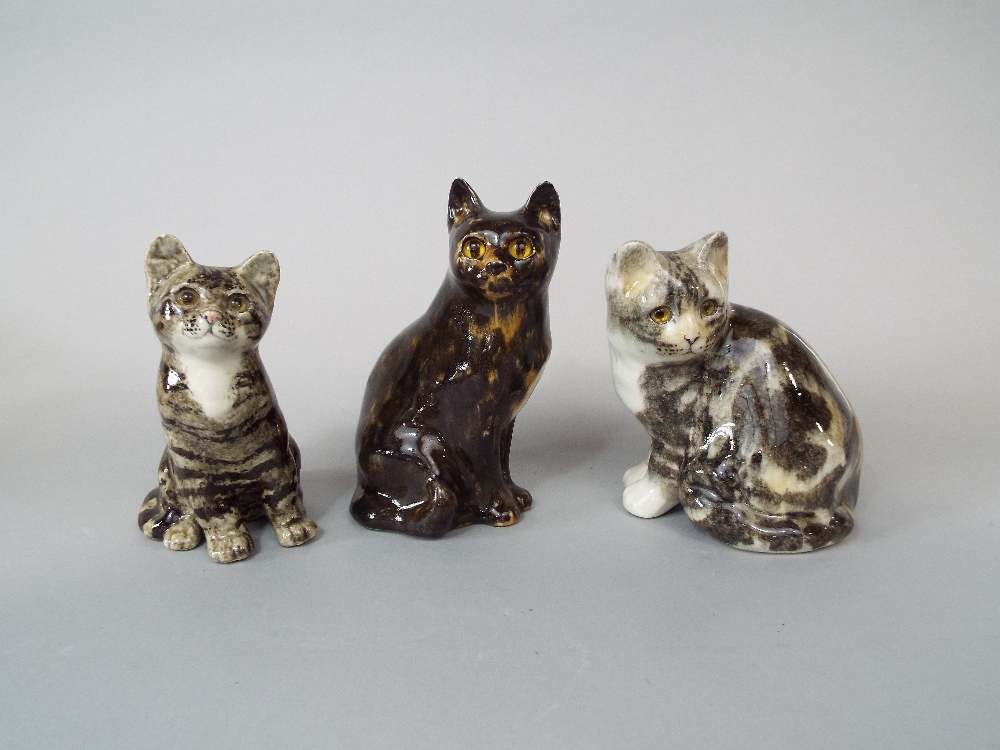 A collection of four Winstanley cats and kittens, three with tabby markings and one with - Image 2 of 3