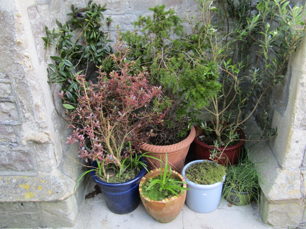 Seven contemporary planters of varying size and design to include two glazed examples (all planted)