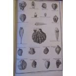 MILLAR George Henry - New, Complete and Universal Body or System of Natural History, printed for