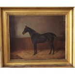 J A Wheeler (Probably John Arnold Alfred Wheeler, British 1821-1903) - Study of a horse in a