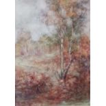 Anita M Carr (Early 20th century British) - Woodland scenes, pair of watercolours, one signed, and