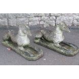 A pair of weathered cast composition stone recumbent greyhounds/whippets, raised on rectangular