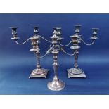 Pair of Sheffield plate twin branch candelabra, on tapered columns with stepped circular bases and