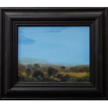 Christopher P Wood (British B.1961) - Landscape study, oil on board, signed verso and dated 1996, 19