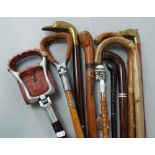 A collection of walking sticks and canes to include an interesting carved eastern hardwood cane with