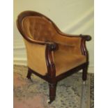 A William IV mahogany tub chair, with showwood frame, the horseshoe shaped back with scrolled