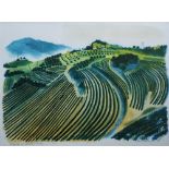 Bernard Cheese (1925-2013) - 'Vineyards at Suzette, Vancluse', 1/30 lithograph, 52 x 72cm, framed