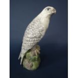 A large Royal Copenhagen model of an Icelandic Falcon, with printed and painted marks to base no