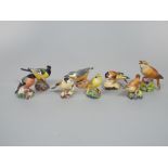 A collection of eight Royal Worcester matt glazed models of birds including bullfinch, a wood