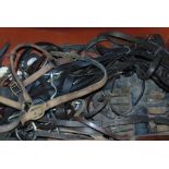 A box containing a large collection of bridles and chains