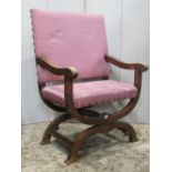A stained walnut X framed throne type chair with open down swept and scrolled arms, upholstered seat