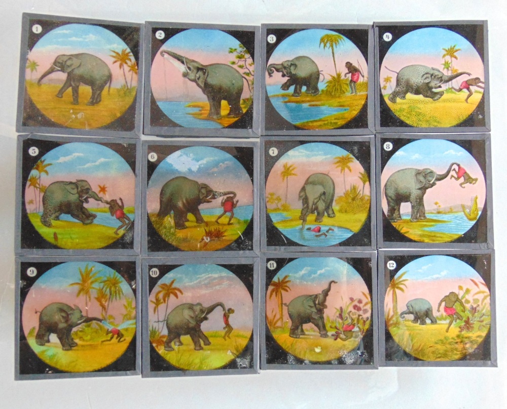 A collection of magic lantern slides, including a set of twelve coloured examples - The Elephants - Image 2 of 4