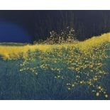 Phil Greenwood (B.1933) - 'Green Vale', 'Bramble Moon' and Hawksfoot', all signed, dated 1973,
