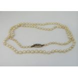 Antique single strand graduated pearl necklace, the gold clasp set with three rose cut diamonds