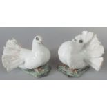 A pair of Rosenthal models of fan tailed doves, with impressed signatures J Heidenreich, max